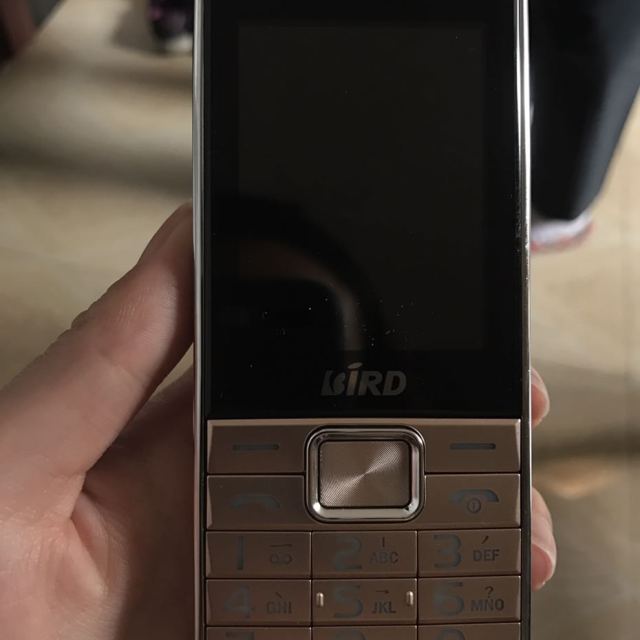 波导(bird)a550 移动联通直板按键老人手机 大字体大屏大声音超长待机