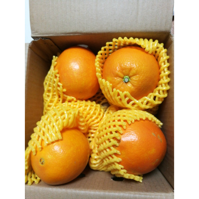 > 展卉 江西赣南脐橙 橙子4个装 新鲜水果商品评价 > 货好,新鲜,送货