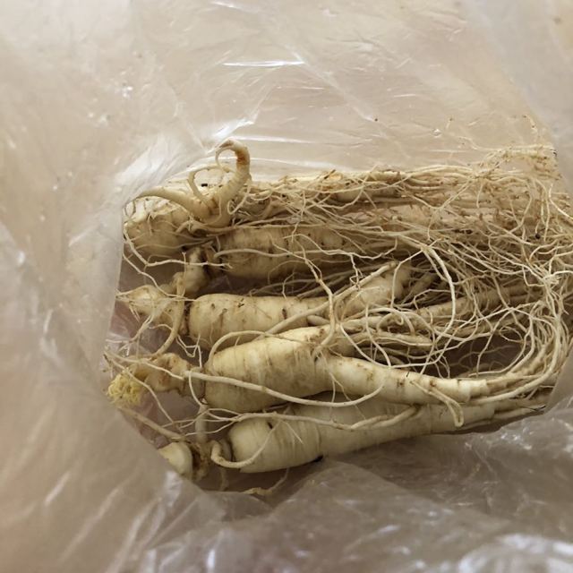 【现挖现卖】青源堂东北长白山新鲜人参白参野山参泡酒药材特产搭配