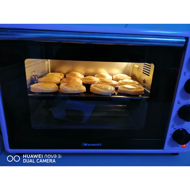 hauswirt海氏电烤箱家用机械式独立控温烘焙多功能全自动33升l家庭大