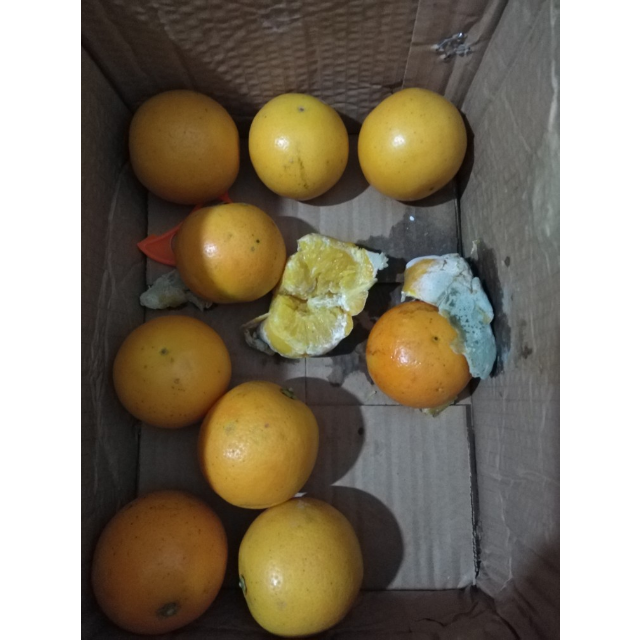 【中华特色】湘西馆 苗家十八洞 湖北秭归夏橙脐橙 2.