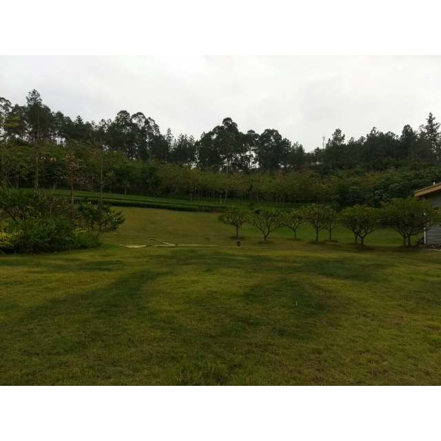 先科sast吸尘器家用扫地机大吸力卧式吸尘器扫地机标配值功能干式类型