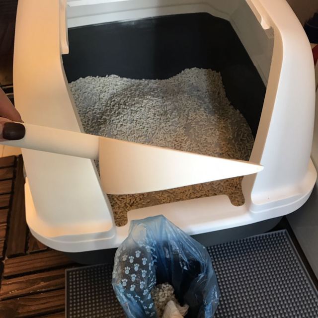 小佩petkit猫砂铲子猫屎铲铲屎铲猫铲屎铲子铲猫屎猫砂便铲猫沙铲