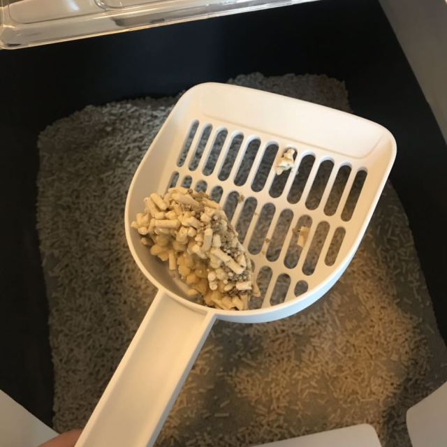 小佩petkit猫砂铲子猫屎铲铲屎铲猫铲屎铲子铲猫屎猫砂便铲猫沙铲