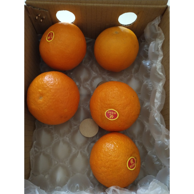 展卉 四川爱媛38号 果冻橙子 手剥柑橘 6个装 新鲜水果