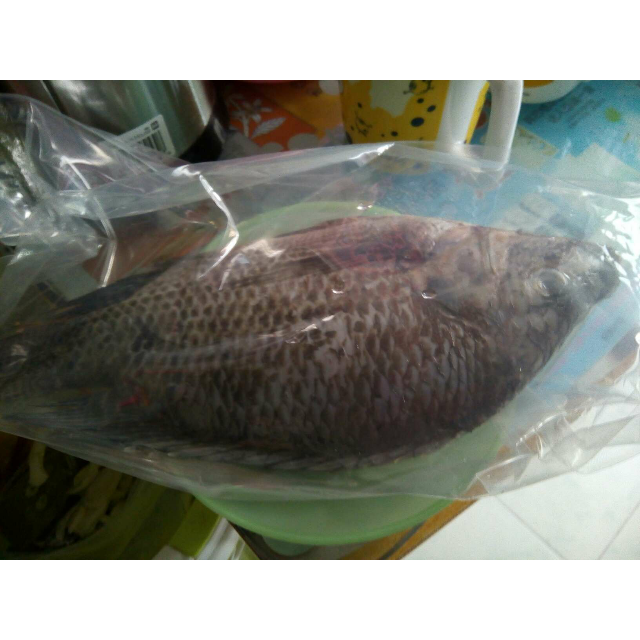 国联(guo lian)三去罗非鱼 700g/袋装鱼类实实在在的,认准这家-苏宁