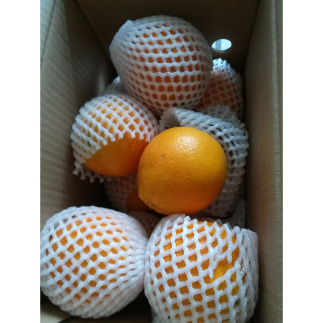 5斤 中大果75mm  橙子新鲜水果 巴东扶贫商品评价 > 收到,口味可以,就