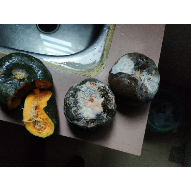 > 【拍2份9折】贝贝小南瓜10斤(毛重)板栗味南瓜宝宝辅食孕妇粉干糯面