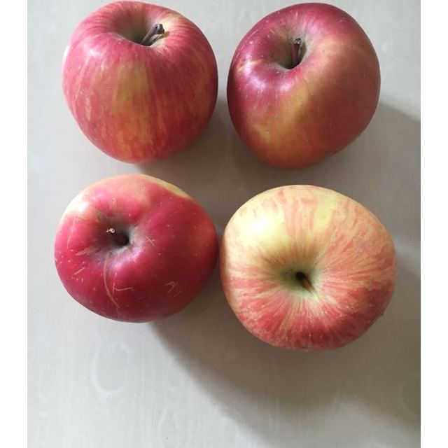展卉 新疆阿克苏苹果4个装 果径70-80mm 新鲜水果苹果类我吃着还不错