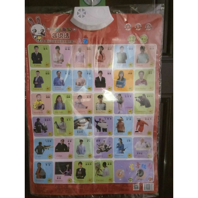 人物动物果蔬共3张有声水晶挂图早教发声儿童启蒙宝宝识字看图全套