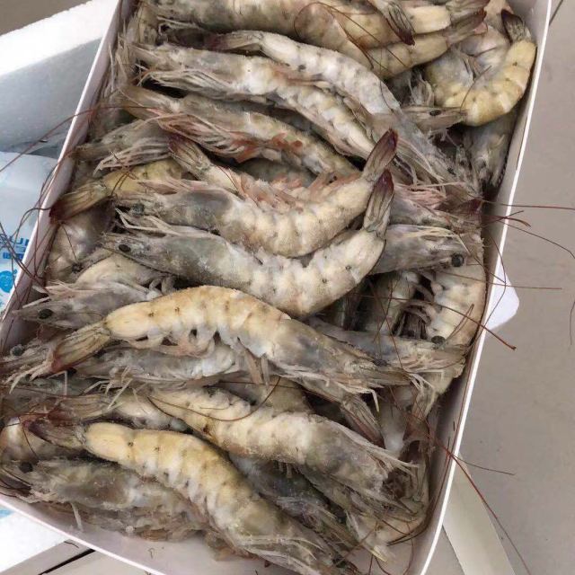 禧美海产 厄瓜多尔白虾(asc认证)1000g 盒装 50-6