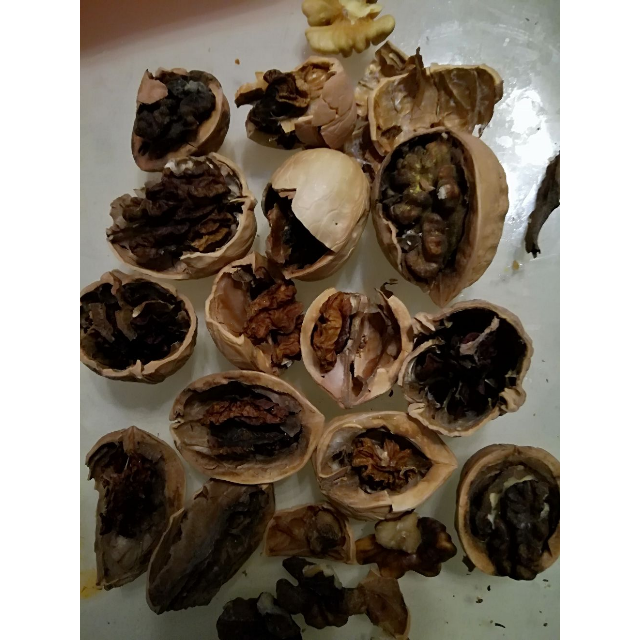 > 【48小时内发货】新疆薄皮核桃500g 原味核桃商品评价 > 核桃大部分