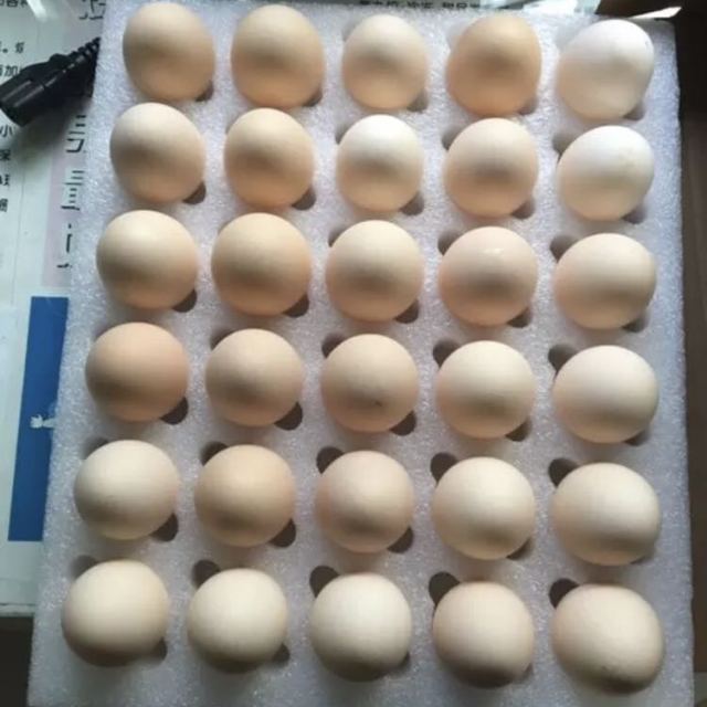 u蛋e族鲜鸡蛋30枚