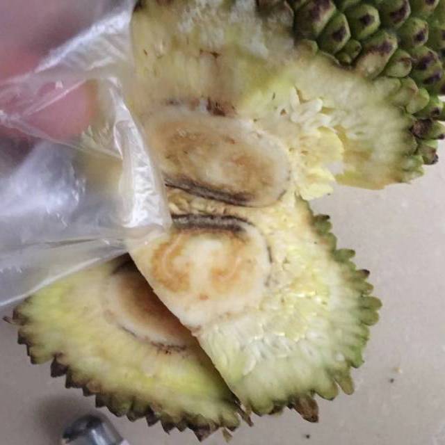 菠萝蜜果肉烂了的照片图片
