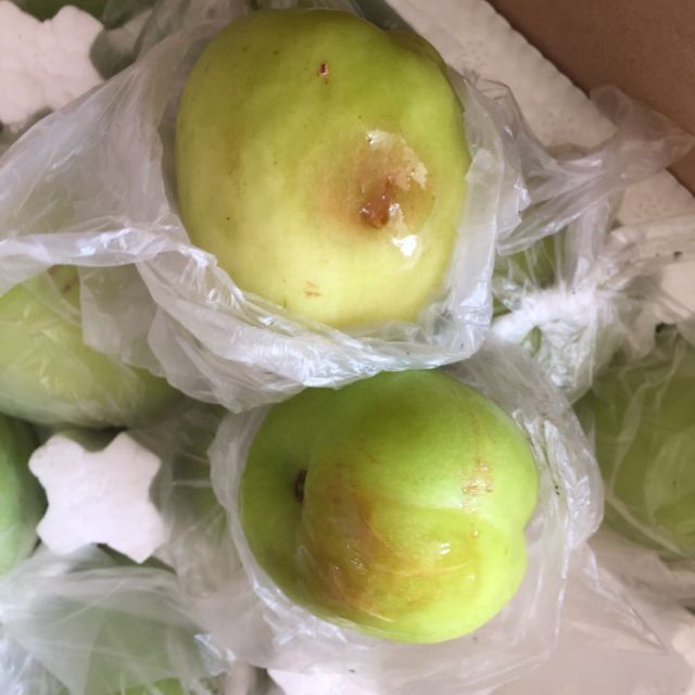 【拍2件合发1件礼盒】台湾新鲜水果牛奶大青枣15个 礼盒装(偶数件发)