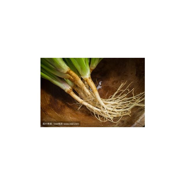 与牧2018秋冬季加厚加绒黑色拉绒裤连裤裤踩脚裤外穿打底裤拉毛裤a-l