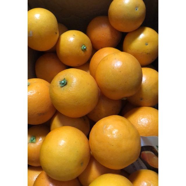 5斤装小果当季新鲜超甜迷你小甜橙坏果包赔 湖南麻阳冰糖橙2.