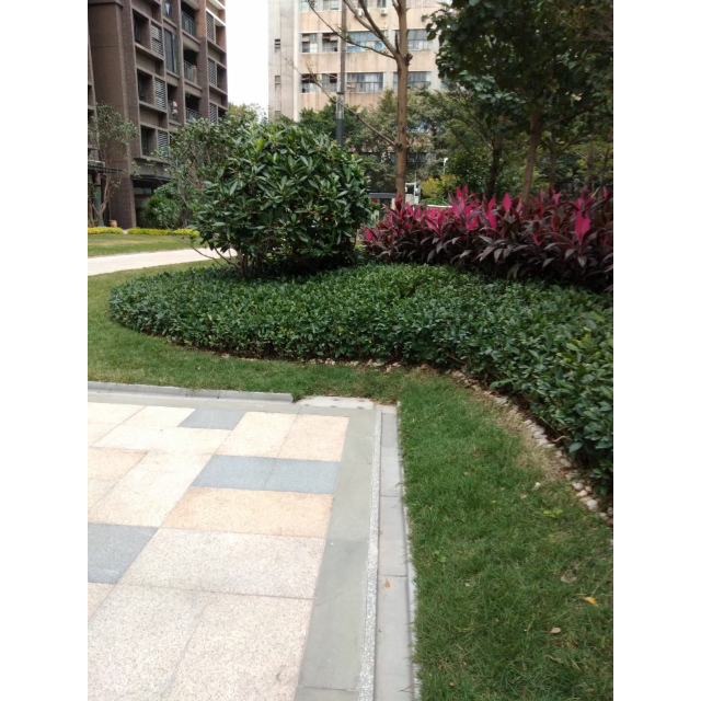 topet1白色碳纤维104ah30公里