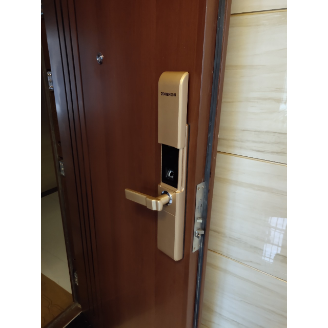 忠恒指纹锁智能锁防盗门家用密码锁门锁x9香槟金