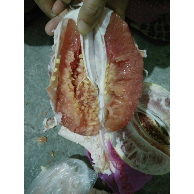 尝鲜价福建平和琯溪5斤装红蜜柚/箱装 禾趣红心红肉柚子红蜜柚 新鲜现