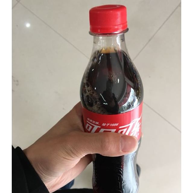 可口可樂cocacola500ml24瓶箱新老包裝隨機發貨