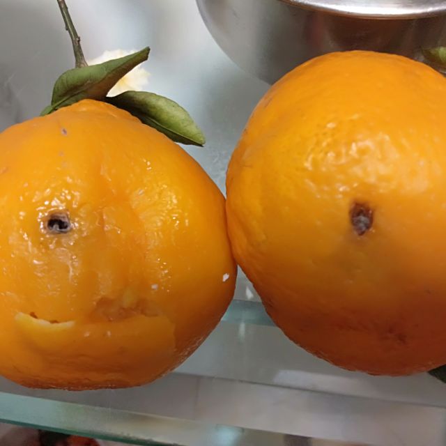 5斤装】四川耙耙柑 丑柑橘 果径70mm以上 鲜货现发 水润沁甜 粒粒多汁