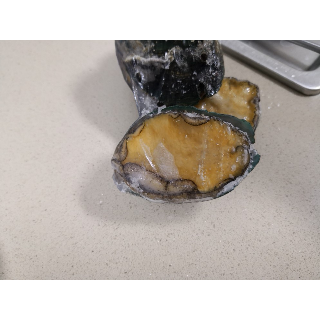 海洋岛鲜活大鲍鱼10只45g50g只大连海域海鲜水产生鲜散装500g坏单包赔