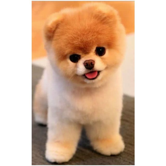 五粮液低度浓香型白酒35度500ml