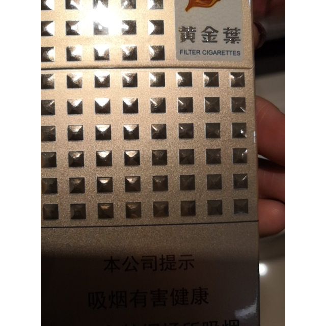 黄金叶(爱尚)图片