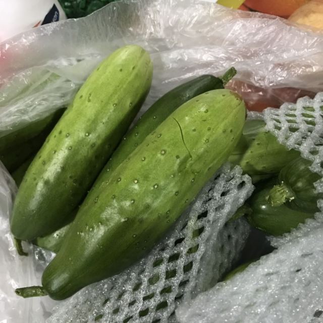 5kg 东北特产 农家自种 旱黄瓜 新鲜蔬菜茄果瓜类黄光有2个被摔坏了