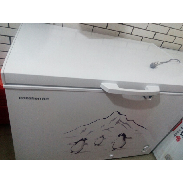 容声(ronshen) 309升商用冰柜冷柜卧式大冷冻柜 冷藏冷冻转换 节能变