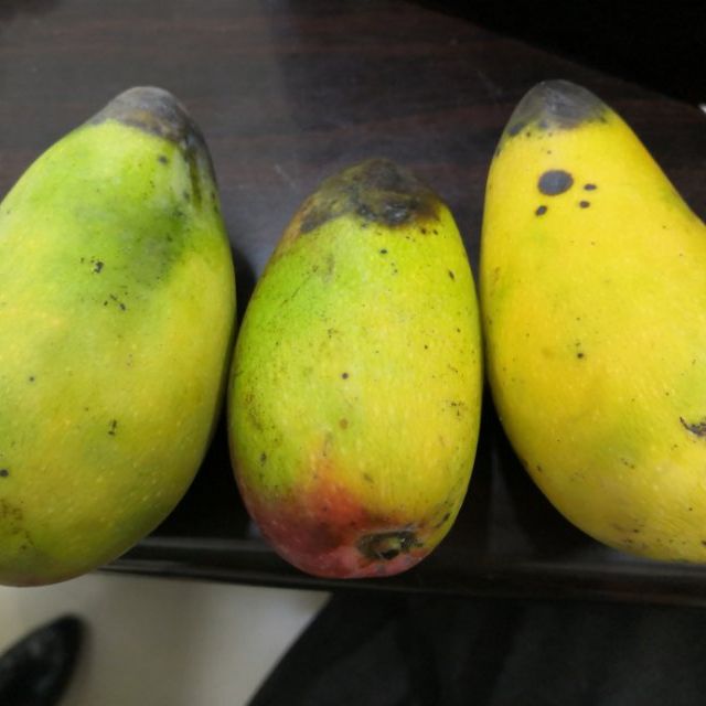 悠乐果海南贵妃芒果9斤中果单果约100g以上热带新鲜水果