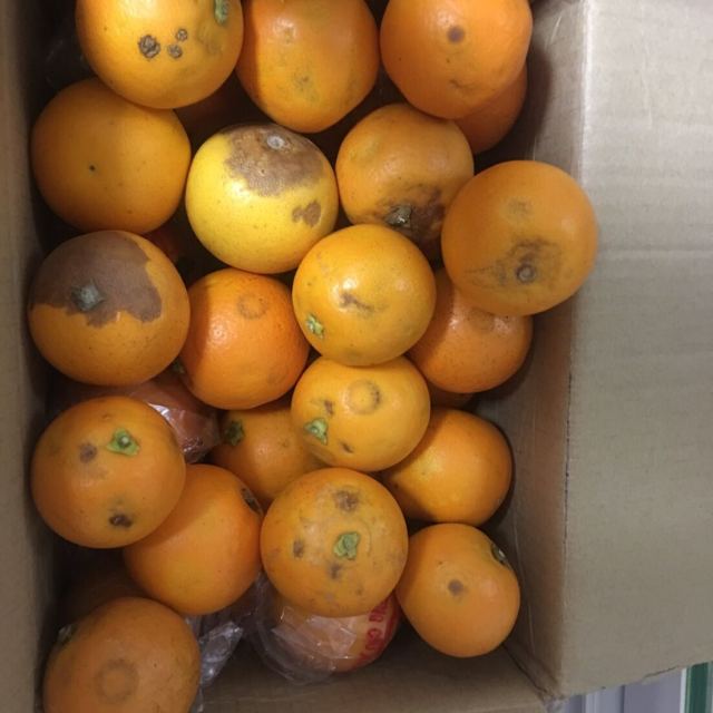 5斤装小果当季新鲜超甜迷你小甜橙坏果包赔 湖南麻阳冰糖橙2.