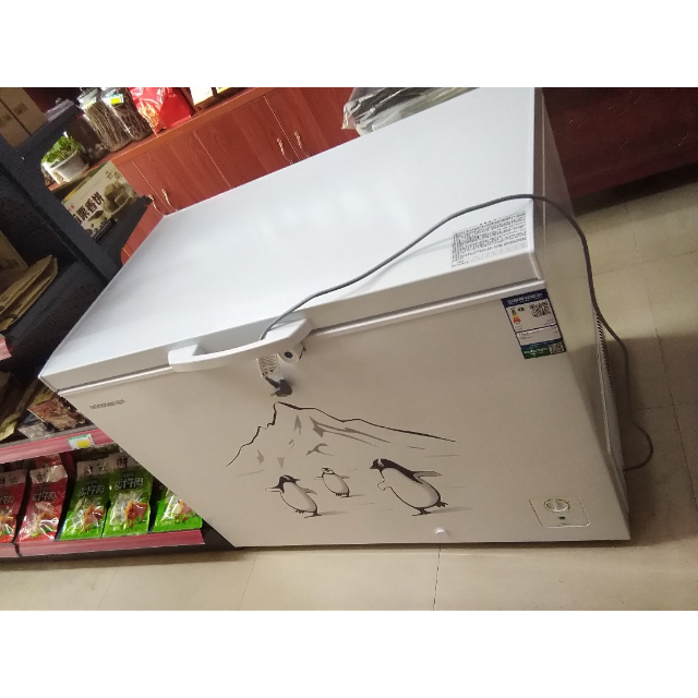 容声(ronshen) 309升商用冰柜冷柜卧式大冷冻柜 冷藏冷冻转换 节能变