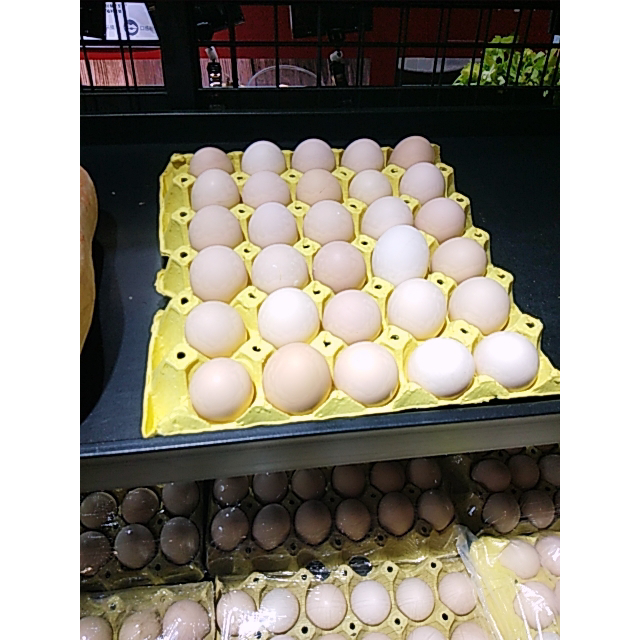 土鸡蛋一托30个高清大图|实物图