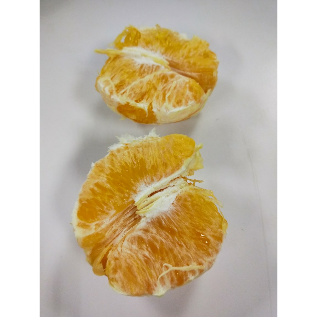 > 尧之谷 四川雅安石棉黄果柑精选大果现摘现发 【收藏加购送开橙器】