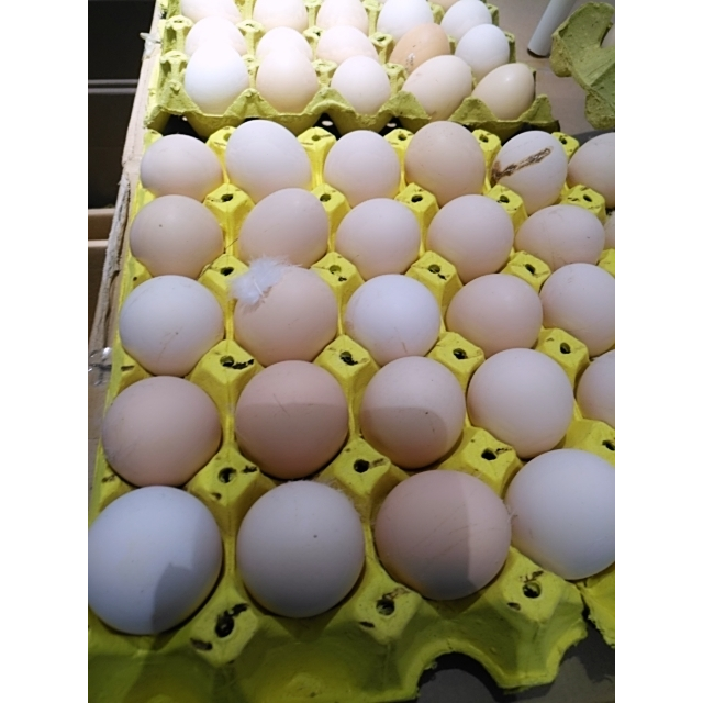 > 土鸡蛋一托30个商品评价 > 您没有填写评价内容