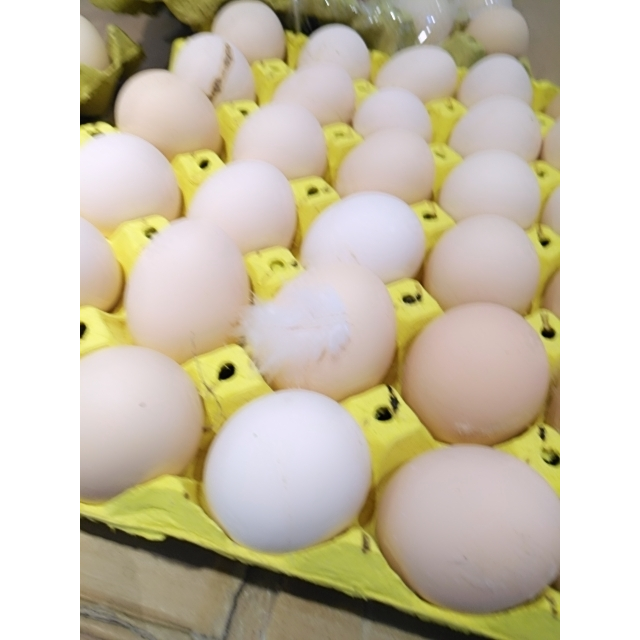 土鸡蛋一托30个