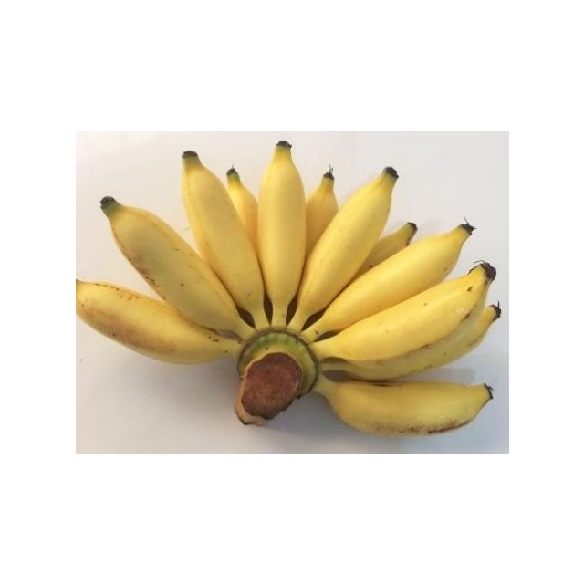 > 泰国皇帝蕉12kg(洪九)商品评价 > 肯监控流量监控6组秃.