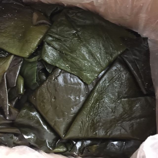 5斤 野生厚海带根鲜昆布1250g(双数发货) 华东