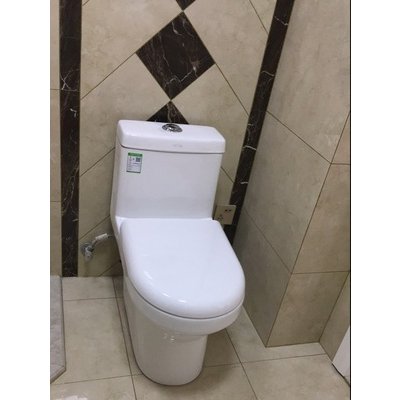 东鹏马桶家用坐便器连体座便器抽水成人卫生间陶瓷防臭虹吸式