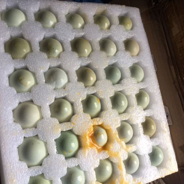 > 农家绿壳粉壳随机发鸡蛋散养鸡6枚一盒,只发当天蛋商品评价 > 买到