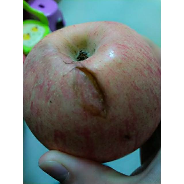 正宗红富士陕西白水脆甜苹果现摘6枚果径7075mm坏果包赔新鲜水果