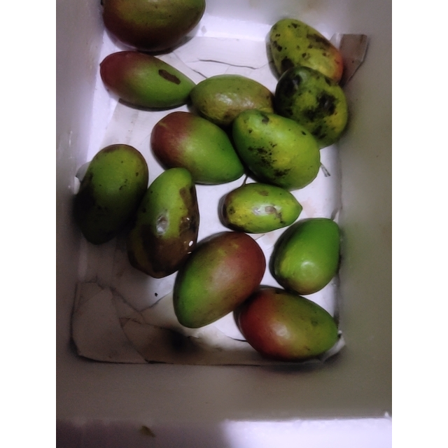 > 悠乐果 海南贵妃芒果9斤中果单果约100g以上 热带新鲜水果商品评价