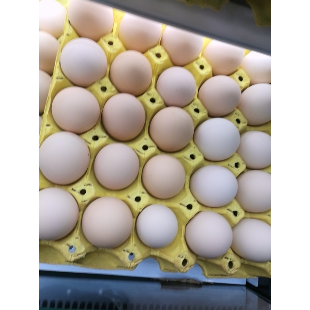 > 土鸡蛋一托30个商品评价 > 很好吃