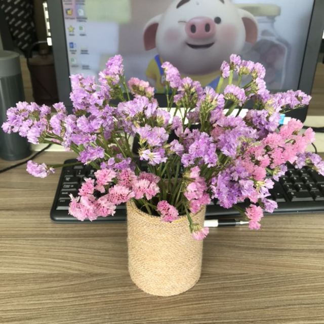 益达无糖口香糖清爽草莓口味40粒瓶装56g