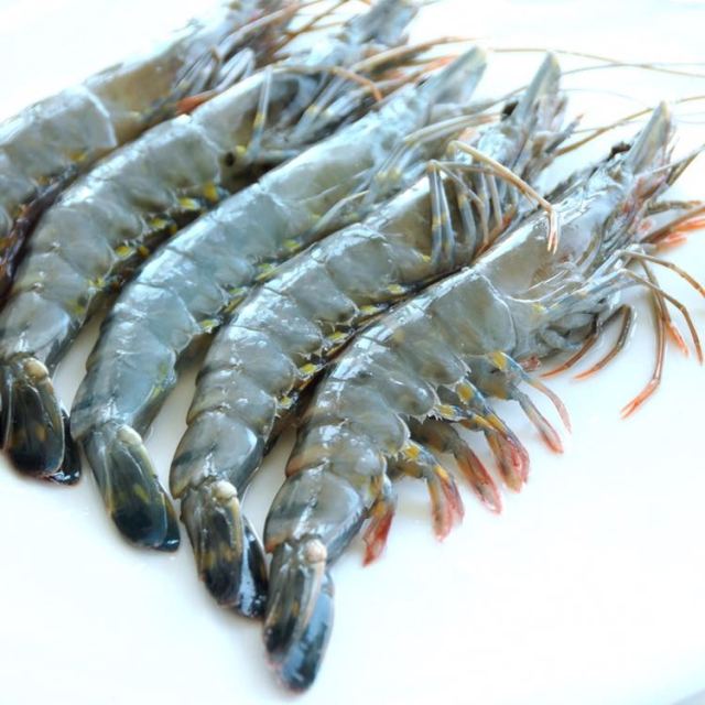 壹家壹站马来西亚活冻黑虎虾盒装400g1314只海鲜水产冷冻虾