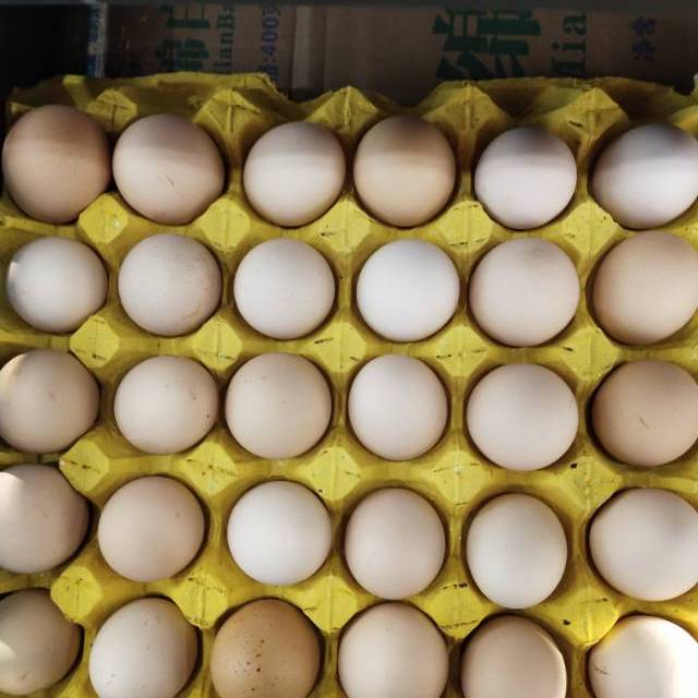 > 二农夫 散装土鸡蛋商品评价 > 好好