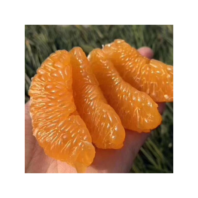 > 耙耙柑(中铁中基)kg商品评价 > 物美价廉!