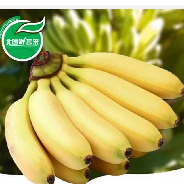 > 泰国皇帝蕉12kg(洪九)商品评价 > 救济救济龙流摸摸你